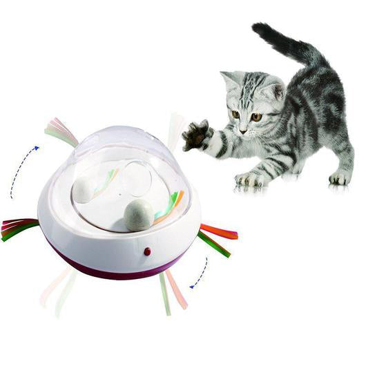 Play & Enrichment