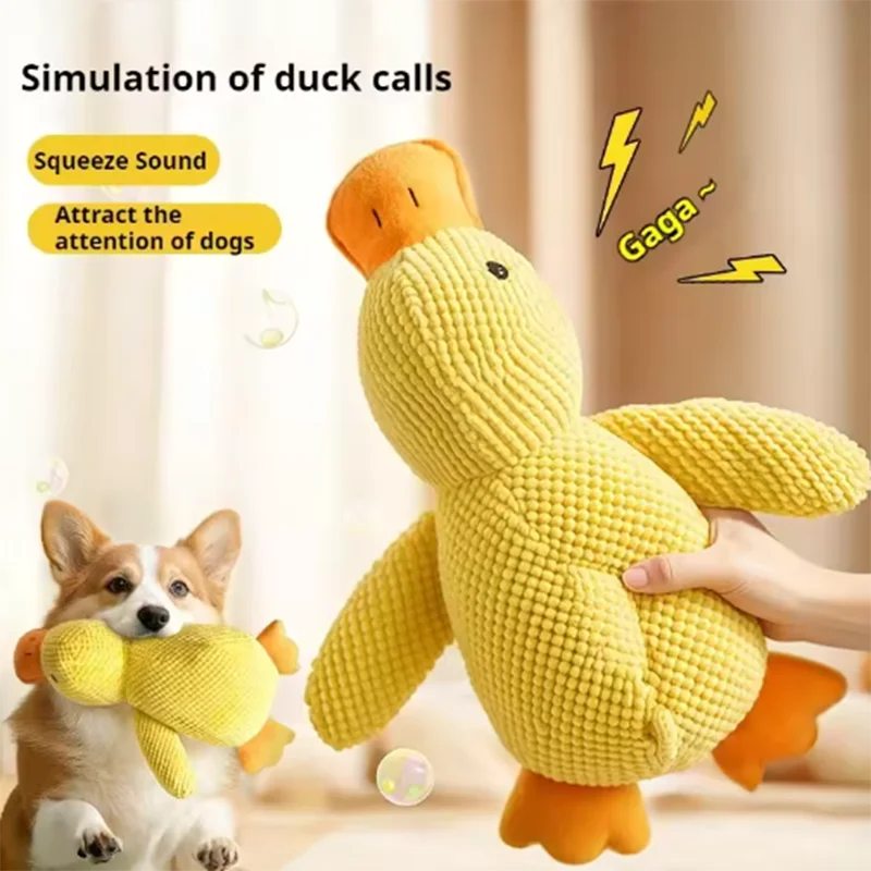 Sd4df8882d9d44aab984fcc2f06d6a22eZ